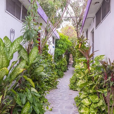 Hotel Aventura Mérida Εξωτερικό φωτογραφία