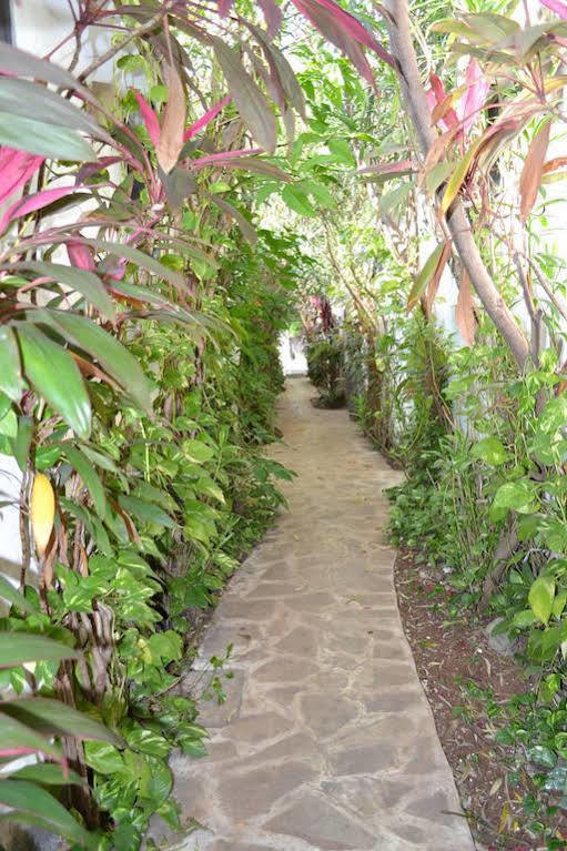 Hotel Aventura Mérida Εξωτερικό φωτογραφία