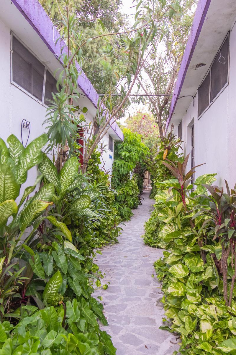 Hotel Aventura Mérida Εξωτερικό φωτογραφία